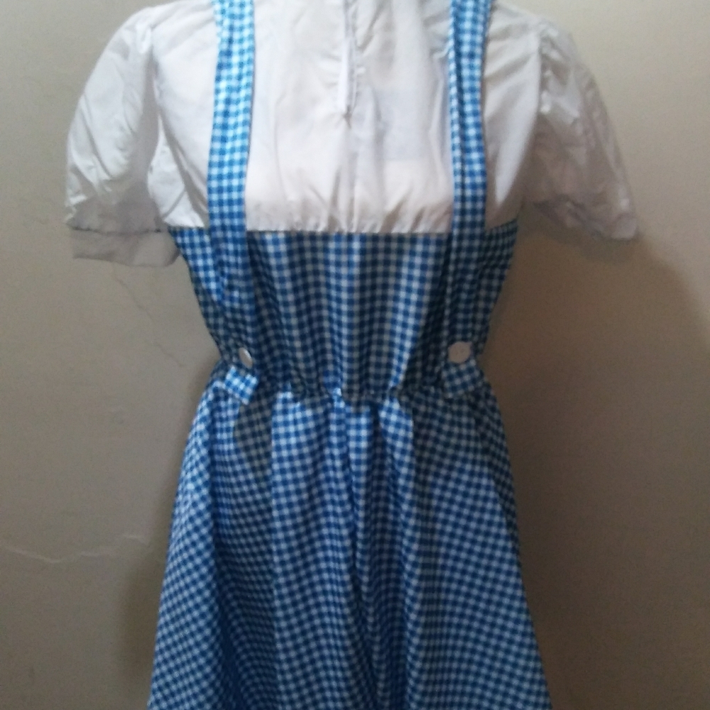 Dorothy Halloween Costume